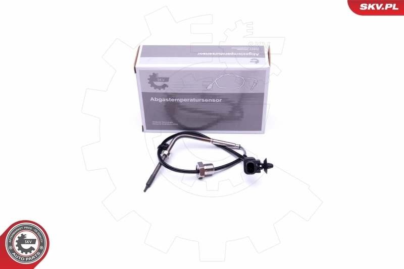 Sensor, exhaust gas temperature